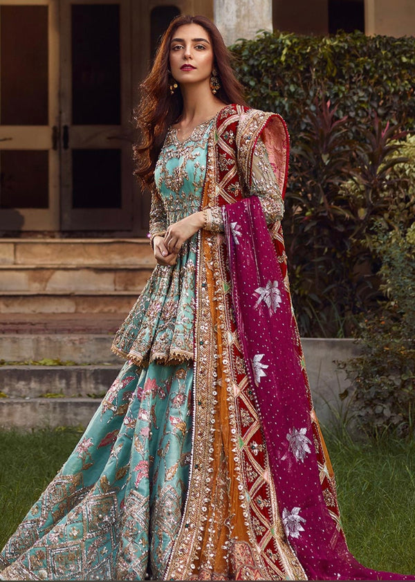 MOHSIN NAVEED RANJHA MNR - RONAQ JAHAN